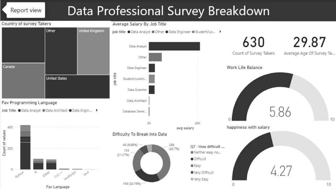 Power BI Data Professional Survey dashboard